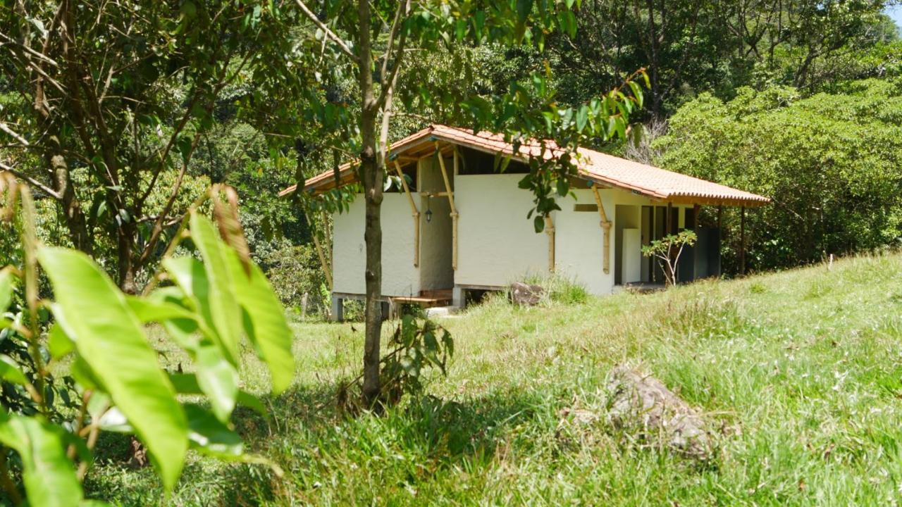 La Perla Negra - Black Pearl Eco Hostel San Rafael  Zewnętrze zdjęcie