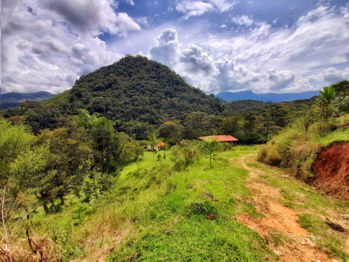 La Perla Negra - Black Pearl Eco Hostel San Rafael  Zewnętrze zdjęcie