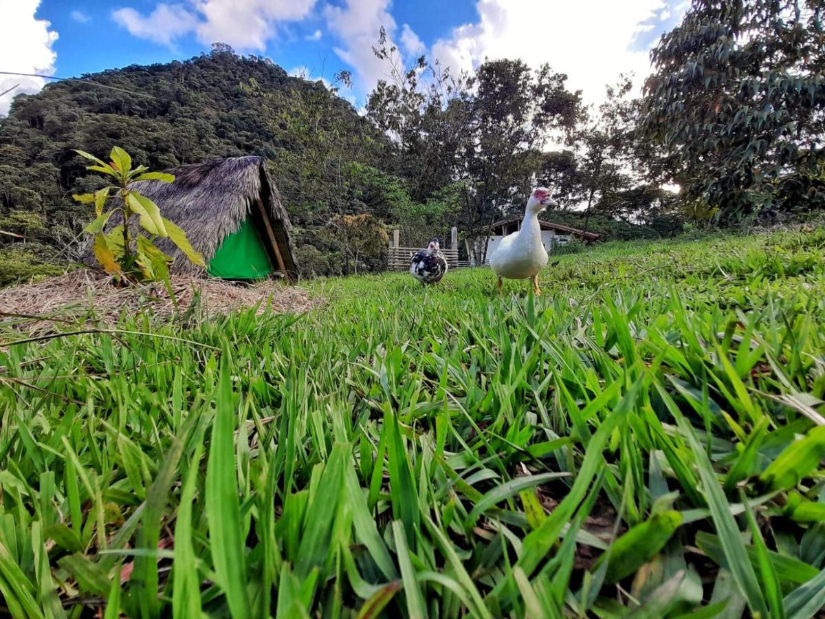La Perla Negra - Black Pearl Eco Hostel San Rafael  Zewnętrze zdjęcie