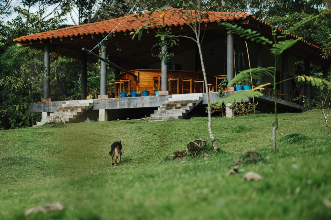 La Perla Negra - Black Pearl Eco Hostel San Rafael  Zewnętrze zdjęcie