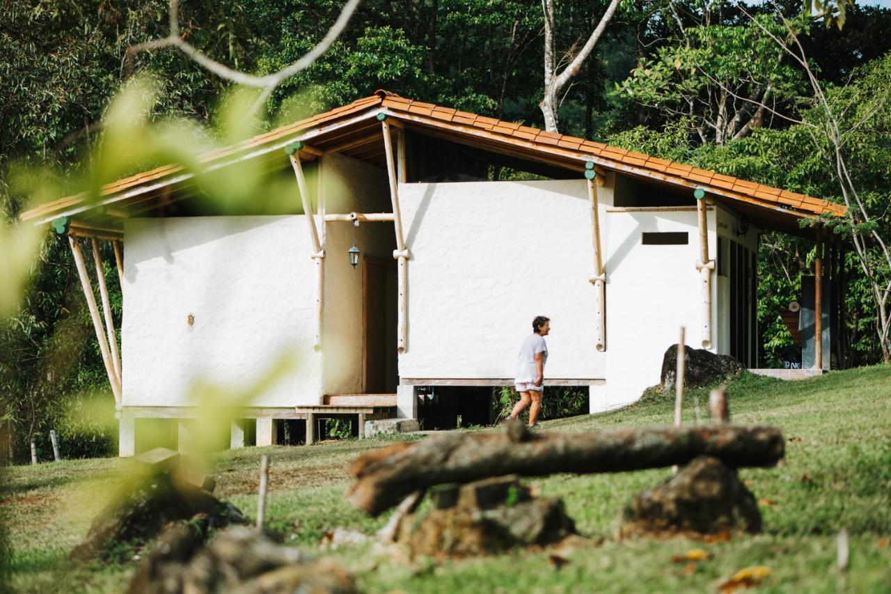 La Perla Negra - Black Pearl Eco Hostel San Rafael  Zewnętrze zdjęcie