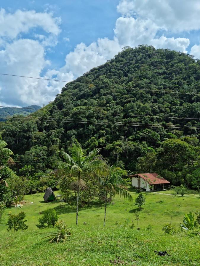 La Perla Negra - Black Pearl Eco Hostel San Rafael  Zewnętrze zdjęcie