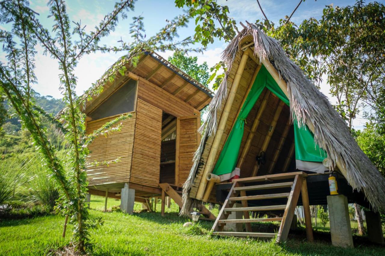La Perla Negra - Black Pearl Eco Hostel San Rafael  Zewnętrze zdjęcie