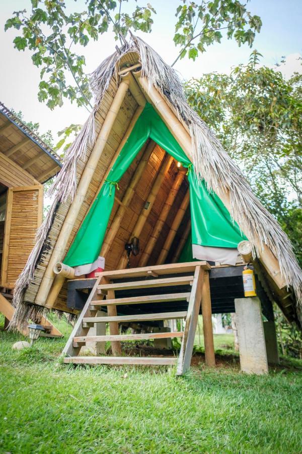 La Perla Negra - Black Pearl Eco Hostel San Rafael  Zewnętrze zdjęcie