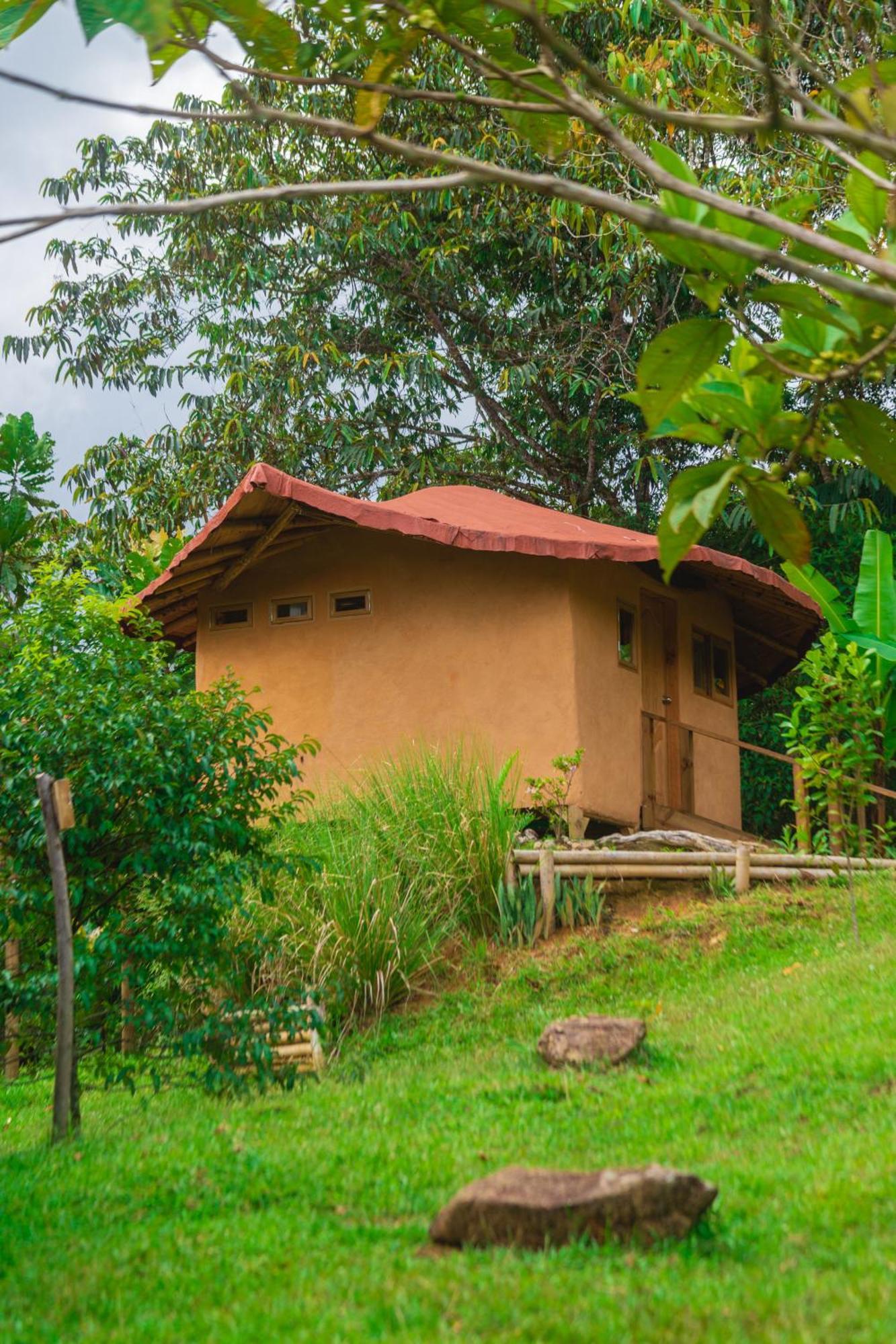 La Perla Negra - Black Pearl Eco Hostel San Rafael  Zewnętrze zdjęcie
